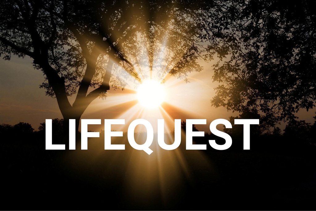 Life Quest, een ervaringsgroep die transformeert en verbindt